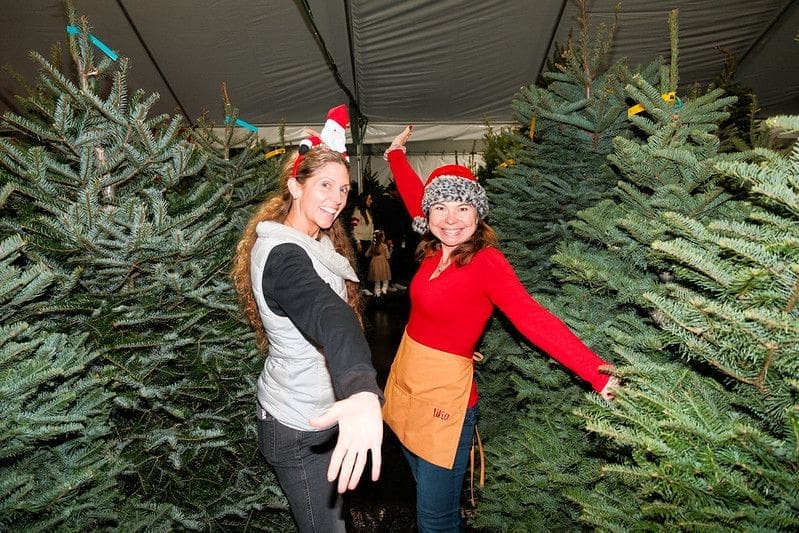 Tree-Lot